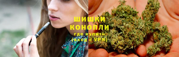 шишки Магадан