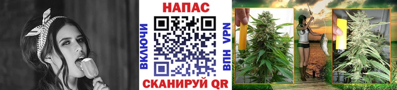 МАРИХУАНА MAZAR  магазин продажи   гидра зеркало  Медвежьегорск 